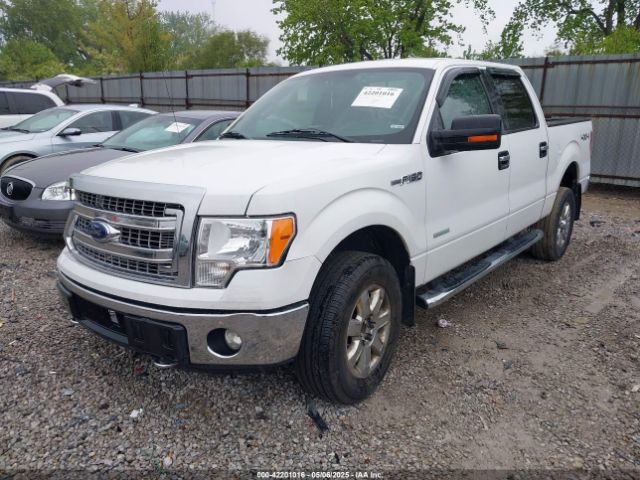 1FTFW1ET4EFB49551 Ford F-150 Xlt