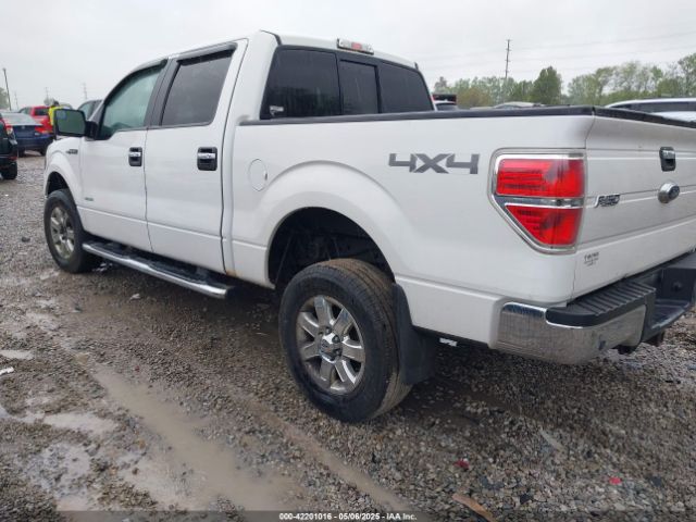 1FTFW1ET4EFB49551 Ford F-150 Xlt