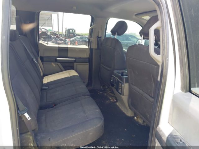 1FTEW1EPXLKD73295 Ford F-150 Xl