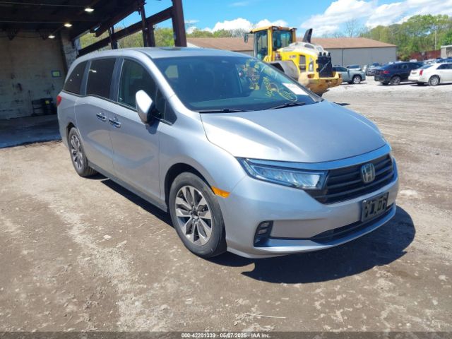 2024 HONDA ODYSSEY 5FNRL6H64RB043216