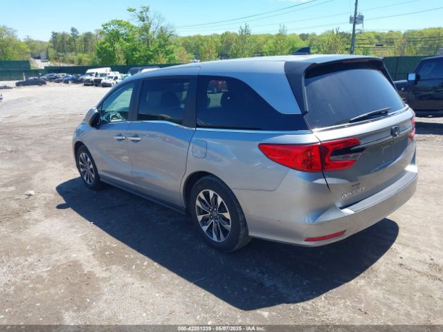 2024 HONDA ODYSSEY 5FNRL6H64RB043216 Photo 2