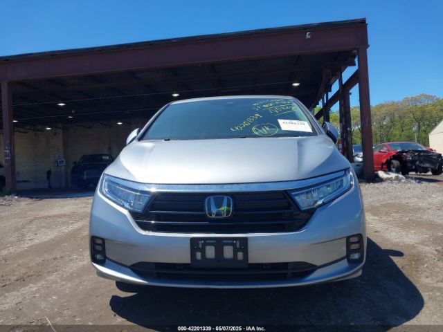 2024 HONDA ODYSSEY 5FNRL6H64RB043216 Photo 5