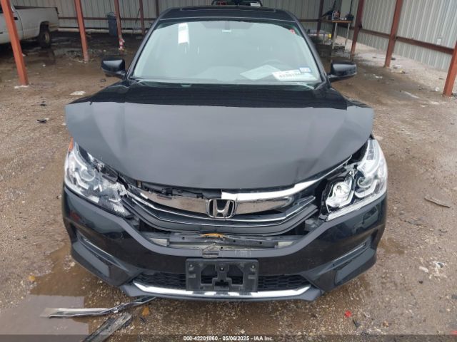 1HGCR3F88GA003316 Honda Accord Ex-l V-6