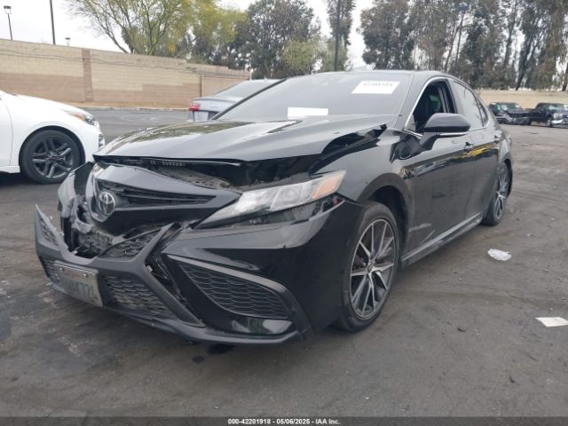 4T1T11AK1MU561608 Toyota CAMRY SE