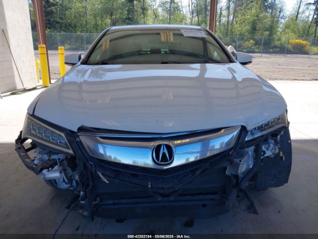 19UUB3F31FA801586 Acura TLX