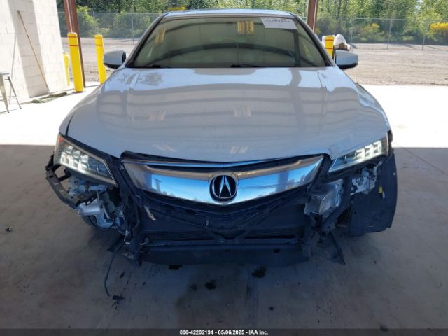 19UUB3F31FA801586 Acura TLX