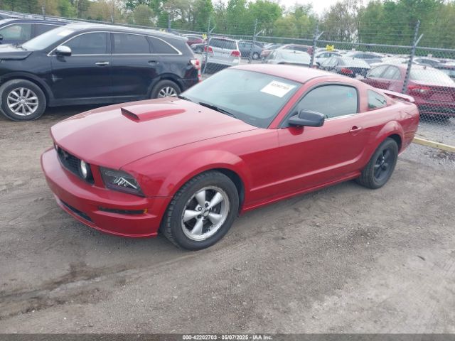 2008 FORD MUSTANG 1ZVHT82H485169008 Photo 1
