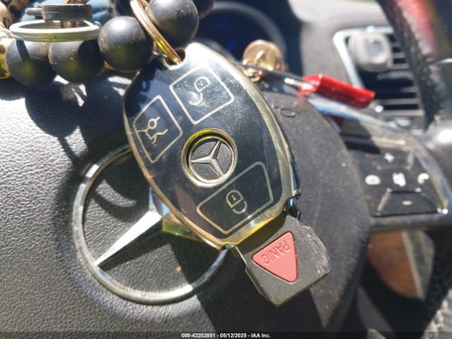 2013 MERCEDES-BENZ GL 450 4JGDF7CE9DA220409 Photo 10