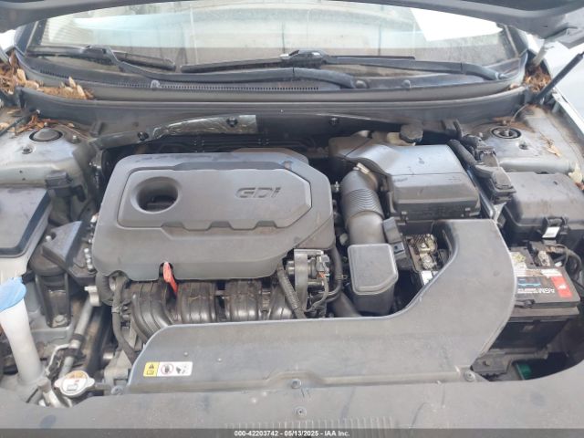 5NPE34AF5GH341673 Hyundai Sonata Sport
