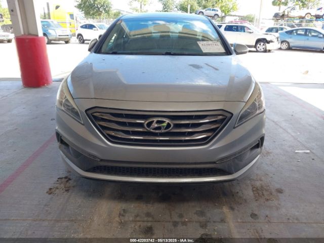 5NPE34AF5GH341673 Hyundai Sonata Sport