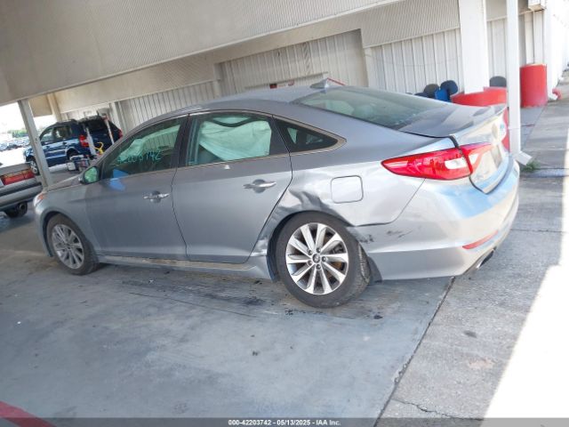 5NPE34AF5GH341673 Hyundai Sonata Sport