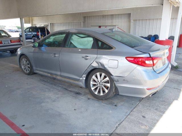 5NPE34AF5GH341673 Hyundai Sonata Sport
