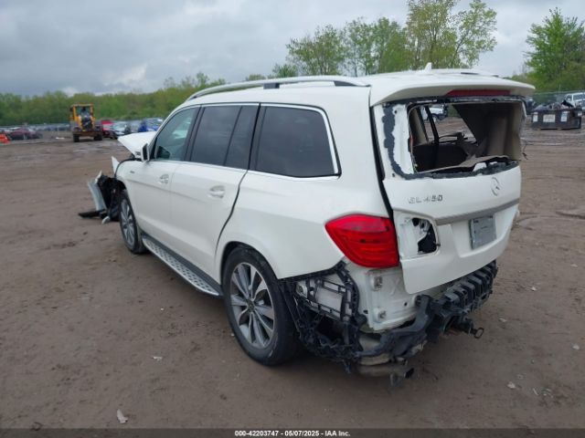 2013 MERCEDES-BENZ GL 450 4JGDF7CE0DA265805 Photo 2