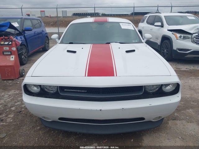 42203803 :رقم المزاد ، 2C3CDYAG5EH111954 vin ، 2014 Dodge Challenger Rallye Redline مزاد بيع