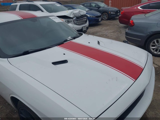 42203803 :رقم المزاد ، 2C3CDYAG5EH111954 vin ، 2014 Dodge Challenger Rallye Redline مزاد بيع