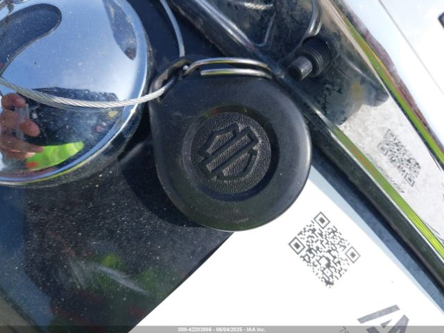 2013 HARLEY-DAVIDSON FLHR 1HD1FBM17DB689769 Photo 10