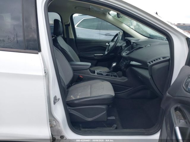 2019 FORD ESCAPE 1FMCU0GD2KUC46050 Photo 4