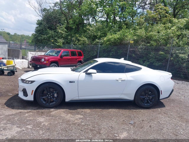 Ford Mustang Gt Fastback 2024 1FA6P8CF0R5411649 Image 14