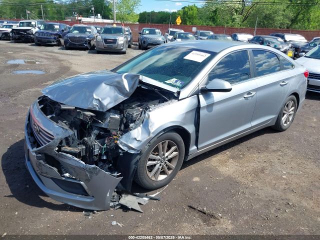 5NPE24AF4HH591555 Hyundai SONATA SE