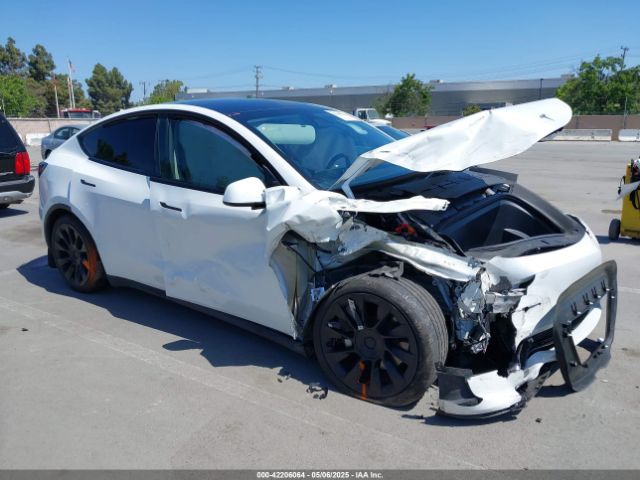 2023 TESLA MODEL Y 7SAYGDEE9PF811580