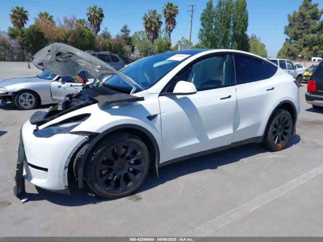 2023 TESLA MODEL Y 7SAYGDEE9PF811580 Photo 1
