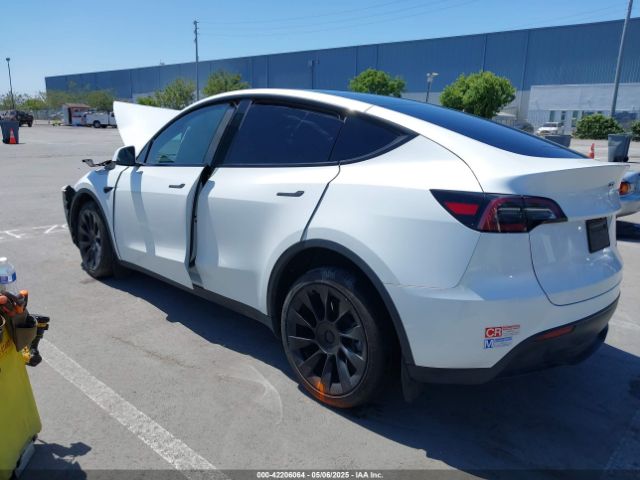 2023 TESLA MODEL Y 7SAYGDEE9PF811580 Photo 2