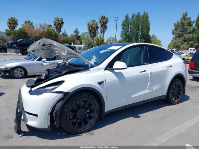 2023 TESLA MODEL Y 7SAYGDEE9PF811580 Photo 5