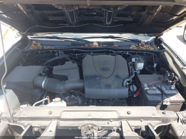 3TMDZ5BN6NM123917 Toyota Tacoma Trd Sport