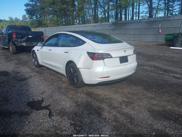 2023 TESLA MODEL 3 5YJ3E1EA9PF576610 Photo 2
