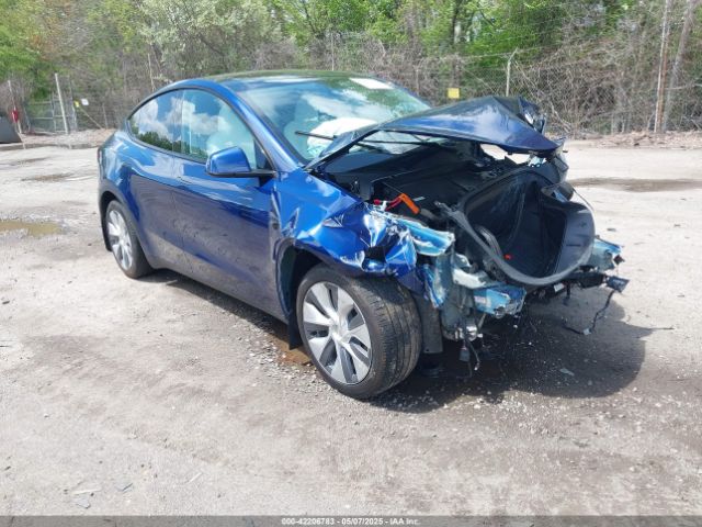 2024 TESLA MODEL Y 7SAYGDEE9RA219631