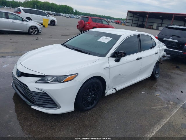 4T1C31AK1MU560324 Toyota Camry Le Hybrid