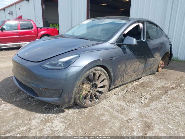 2023 TESLA MODEL Y 7SAYGDEF1PF777756 Photo 1