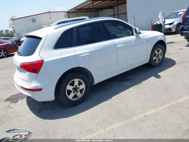 2010 AUDI Q5 WA1MKAFPXAA015021 Photo 3