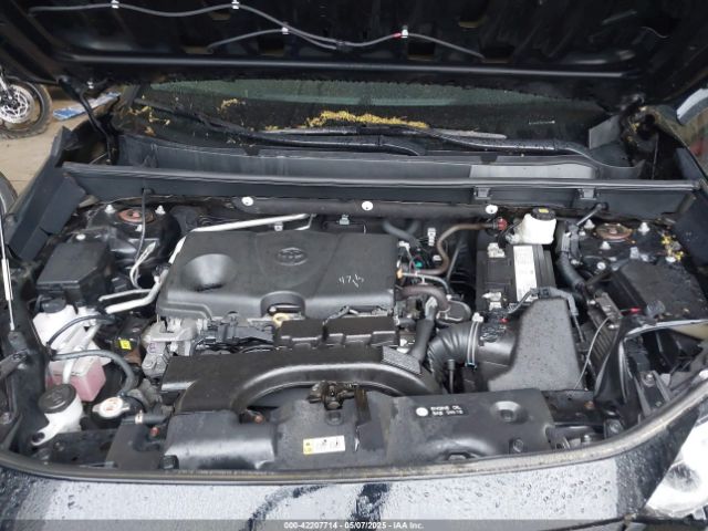 2T3A1RFV3KC047290 Toyota Rav4 Xle Premium