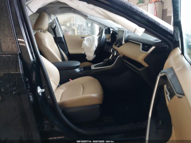 2T3A1RFV3KC047290 Toyota Rav4 Xle Premium