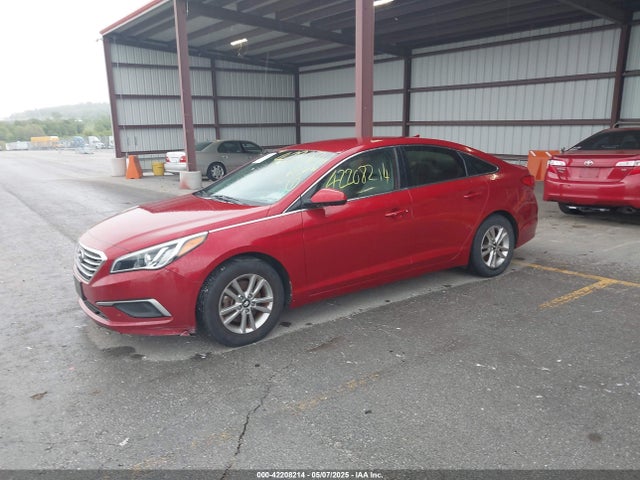 5NPE24AF6HH445822 Hyundai Sonata