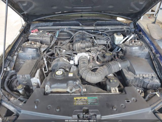 2005 FORD MUSTANG 1ZVFT84N855165811 Photo 9