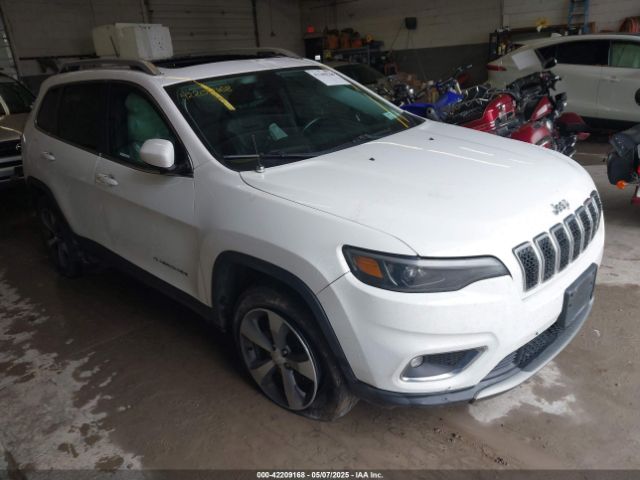 2019 JEEP CHEROKEE 1C4PJMDX0KD218719
