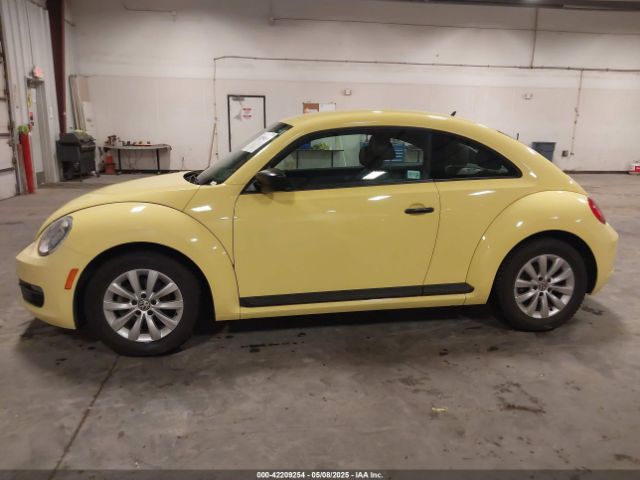 3VWF17AT0FM611710 Volkswagen Beetle 1.8t Fleet Edition
