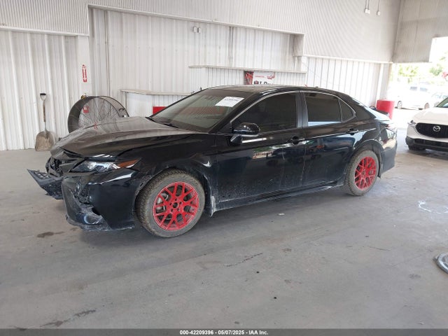 4T1T11AK8MU470982 Toyota CAMRY SE