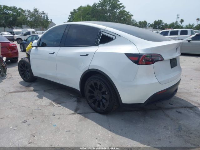 2023 TESLA MODEL Y 7SAYGAEE3PF907784 Photo 2