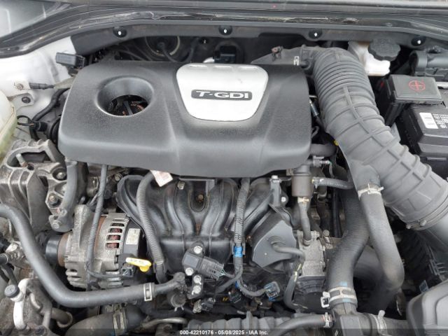 KMHD04LB5JU557532 Hyundai Elantra Sport