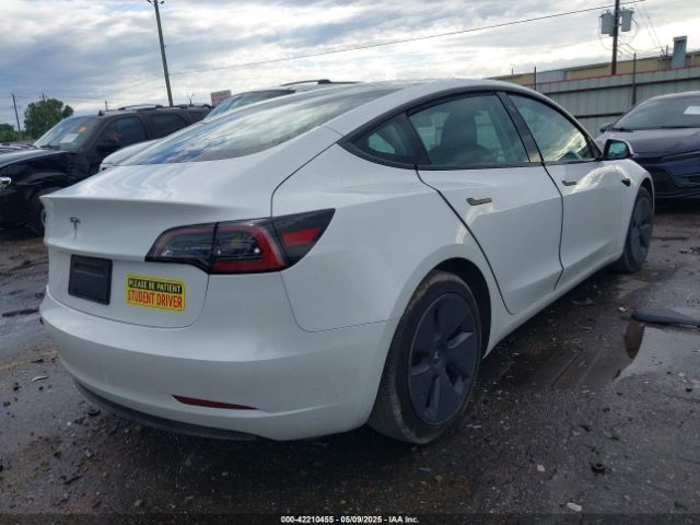 2023 TESLA MODEL 3 5YJ3E1EA0PF511158 Photo 3
