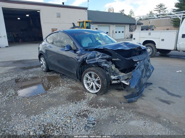 2021 TESLA MODEL Y 5YJYGDEE3MF254383 Photo 0