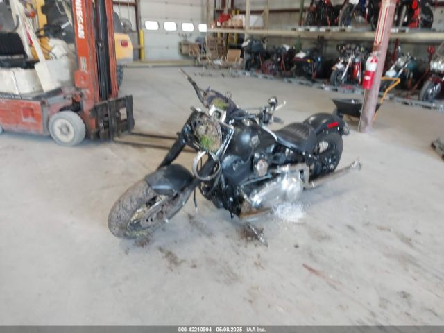 2012 HARLEY-DAVIDSON FLS 1HD1JRV20CB050971 Photo 1