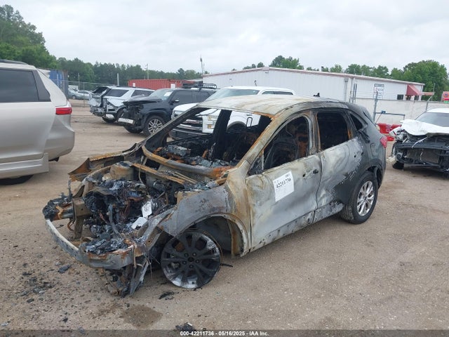 Ford dragon gtdi 2023 1FMCU0GN8PUB04687 Image 6