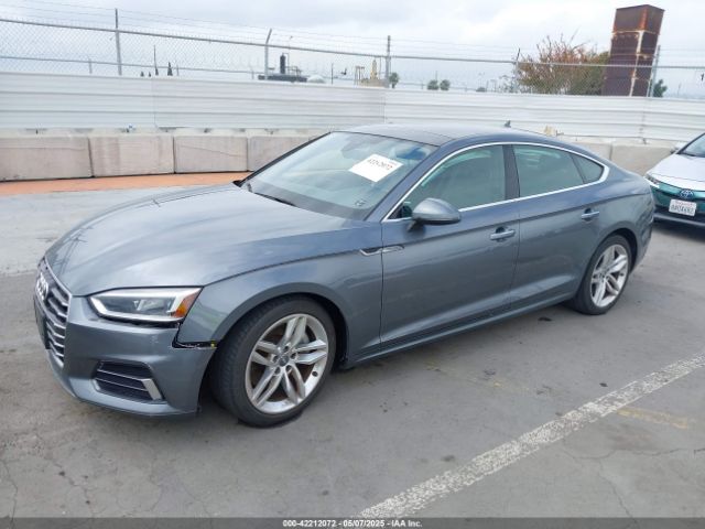 WAUANCF58KA084492 Audi 2019