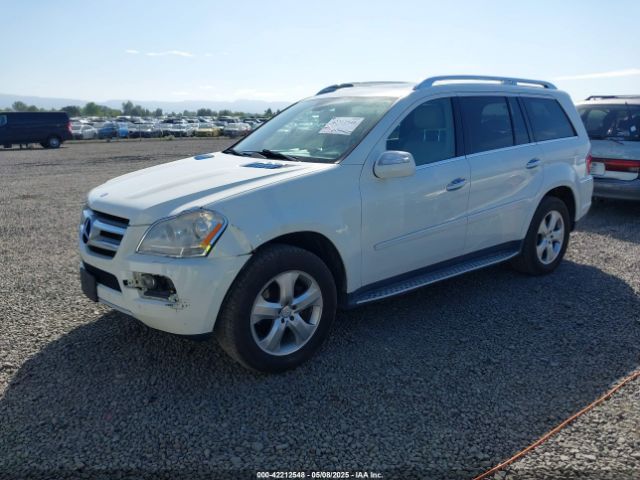 2010 MERCEDES-BENZ GL 450 4JGBF7BE3AA605873 Photo 1