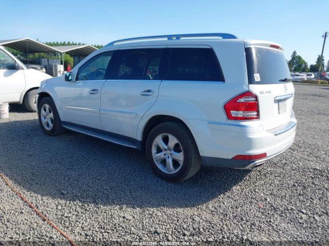 2010 MERCEDES-BENZ GL 450 4JGBF7BE3AA605873 Photo 2