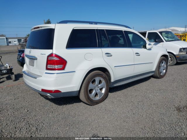 2010 MERCEDES-BENZ GL 450 4JGBF7BE3AA605873 Photo 3